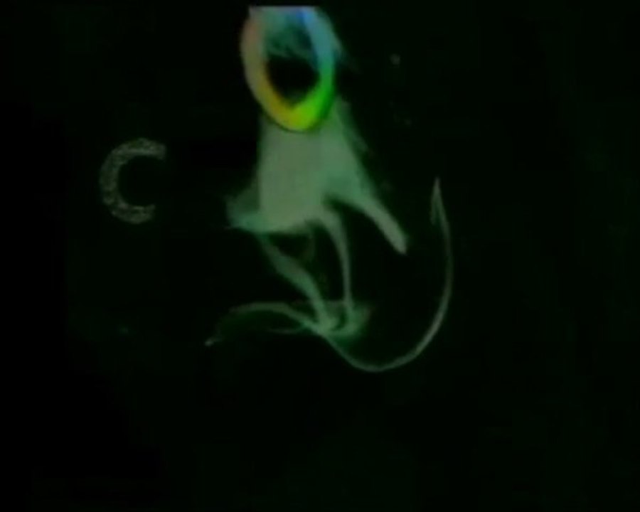 canal+/ canal Gainsbarre et MIXE AUDIO tout neuf