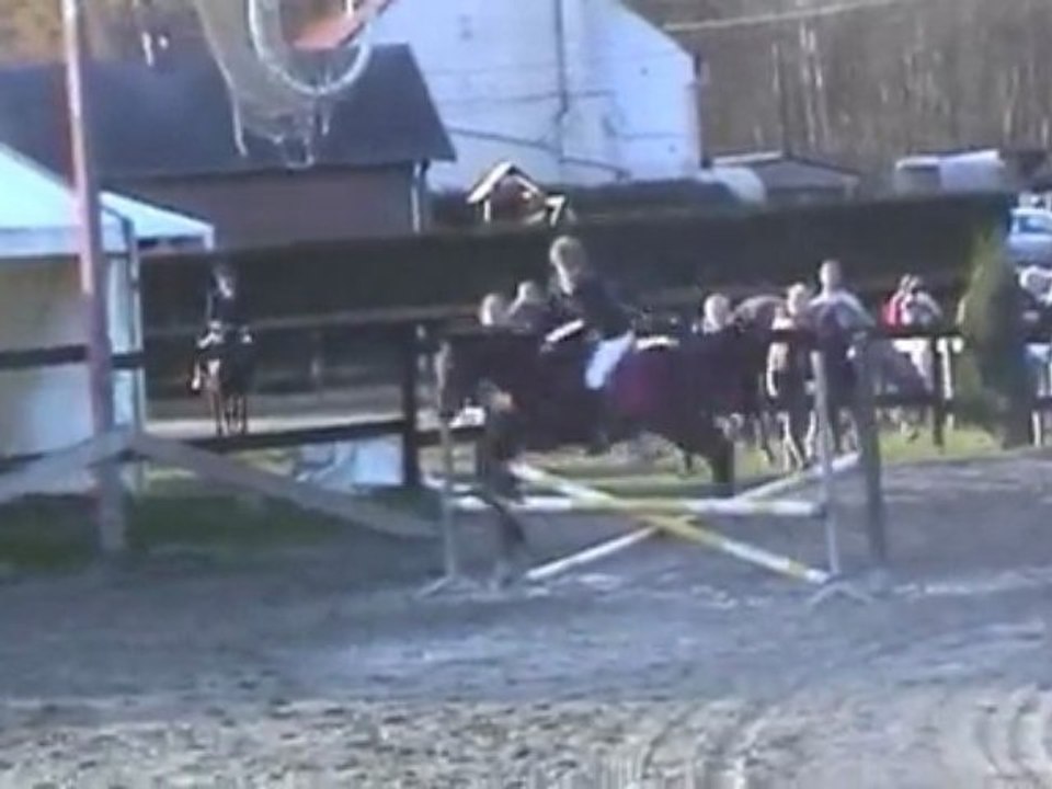 obstacle pur sang arabe  24 11 2009 2èm part