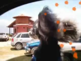 As desventuras de Lukye - parte 1