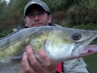 Pêche en seine (zone maritime) à bord du roots boat