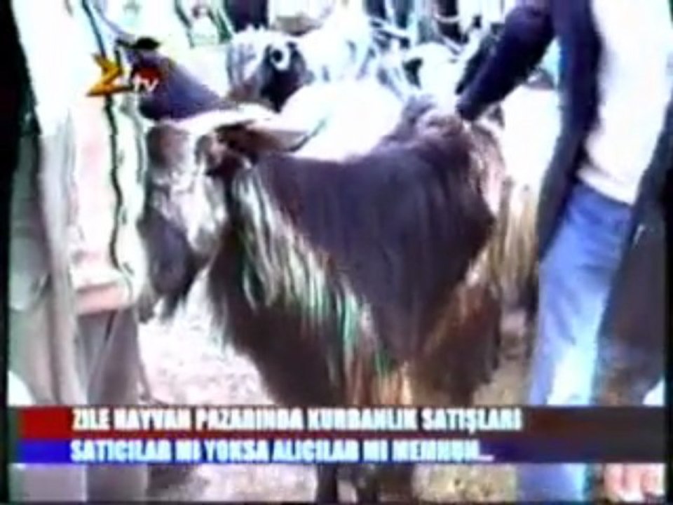 zile mal pazarı