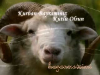 Kurban Bayramı Tebriği