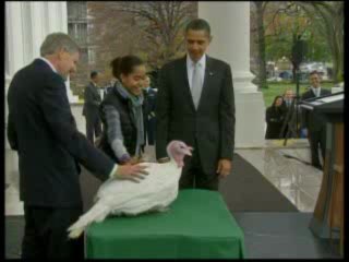Obama grazia il tacchino