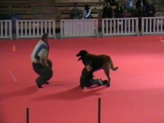 VAL GARDE D'ENFANT / EXPOSITION CANINE PEPIGNAN