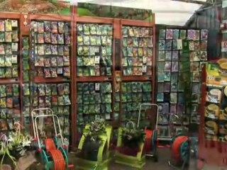 Les Jardins de Provence - Fleuriste pépinièriste