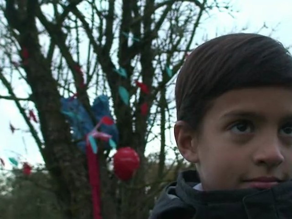 Spot Dons D'organes HD