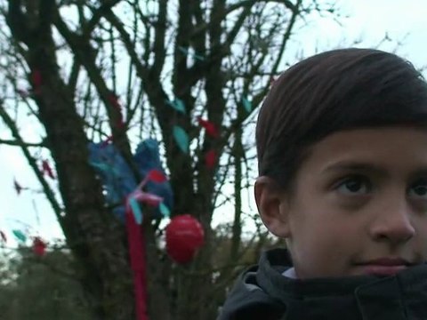 Spot Dons D'organes HD