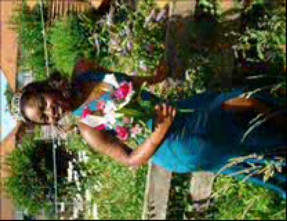 My Video by Gee
