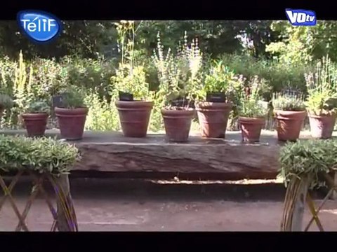 L'Abbaye de Royaumont (Val d'Oise)