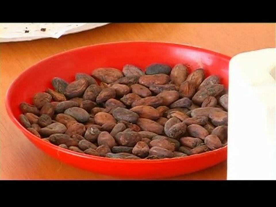 El chocolate nativo, feria de slow Food Terres de Lleida