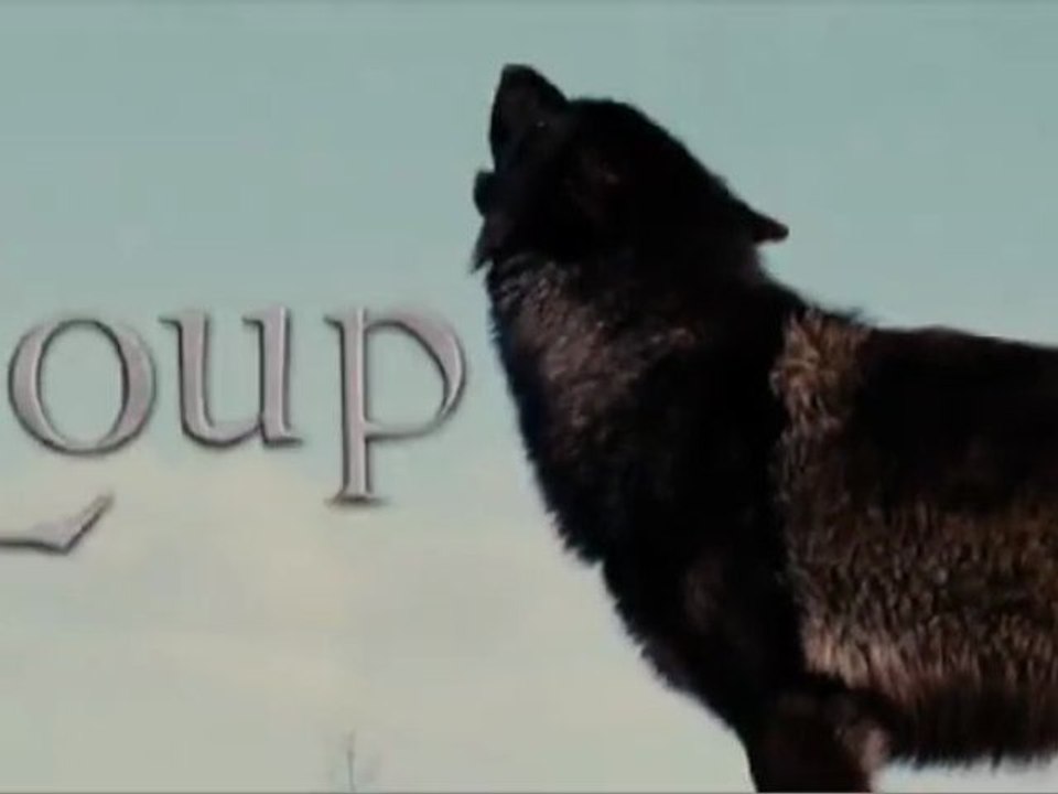 Loup de Nicolas Vanier