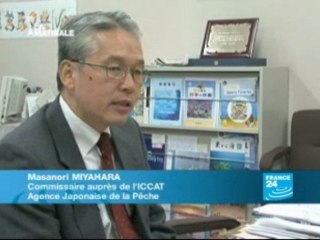 Le thon rouge en sursis