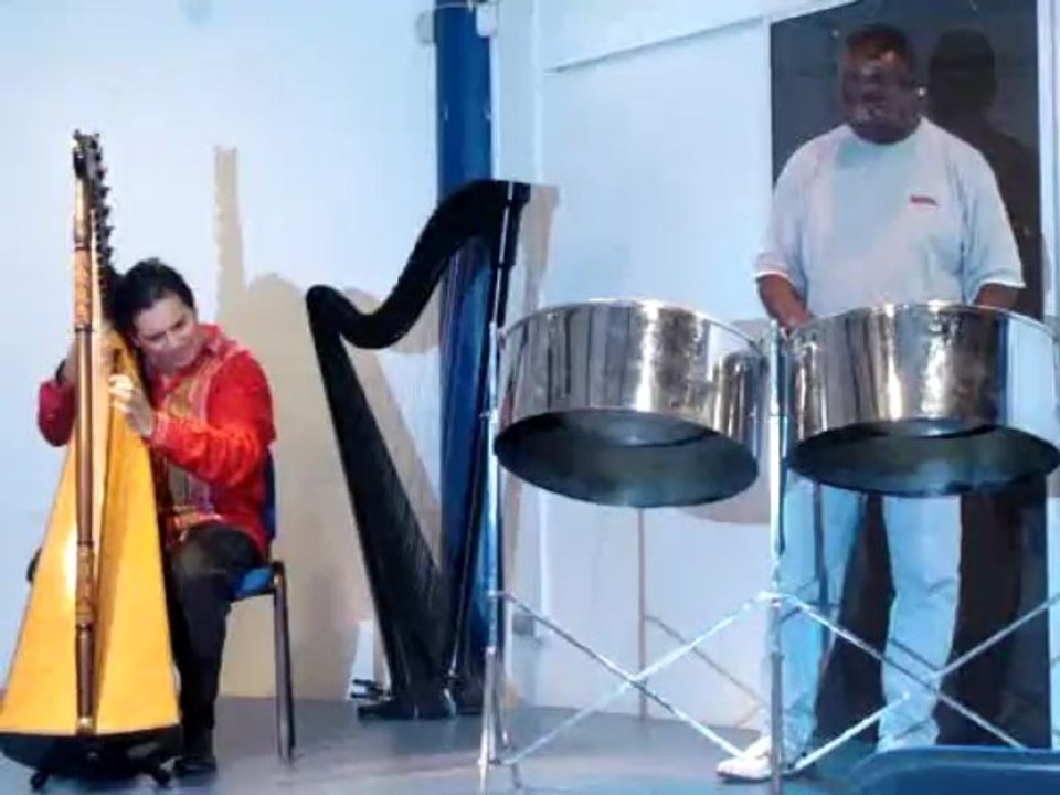 Journée internationale de la harpe au Robert - novembre 2008