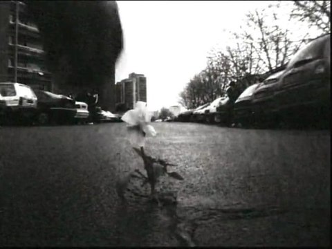 Clip de HOLOCOST-ORDURE-shone+ker