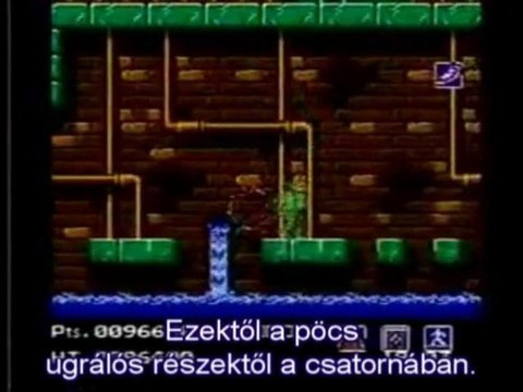 AVGN - Teenage Mutant Ninja Turtles HUN