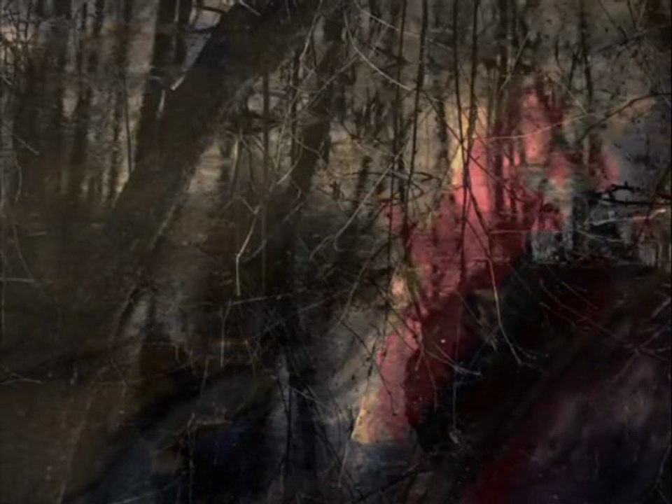 Rêve transleithanien