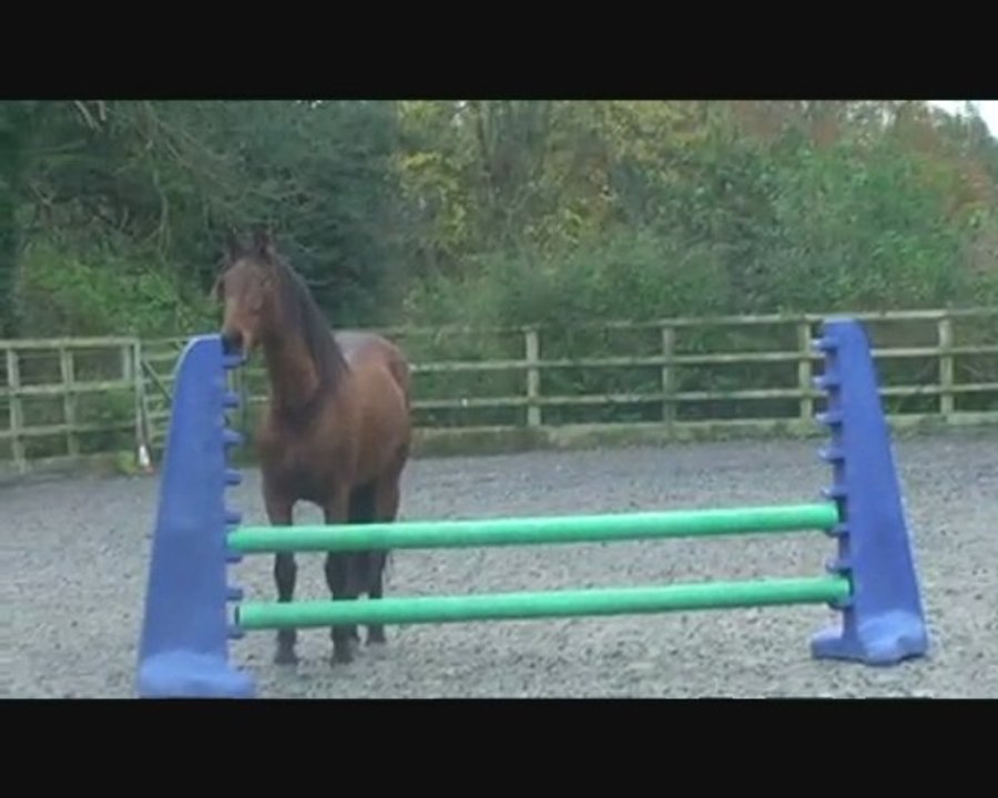 Fundador November 2009