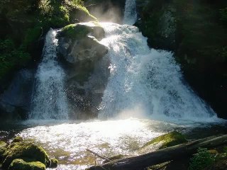 DONNES-MOI LA RÉPLIQUE ....