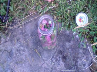 How to make Herbal medicine vinegar tincture.