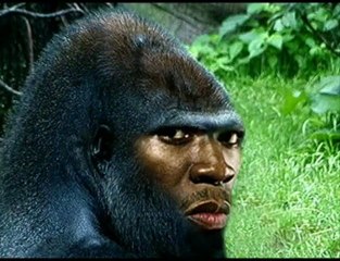 Homo erectus: Early Human Ancestor 🧬