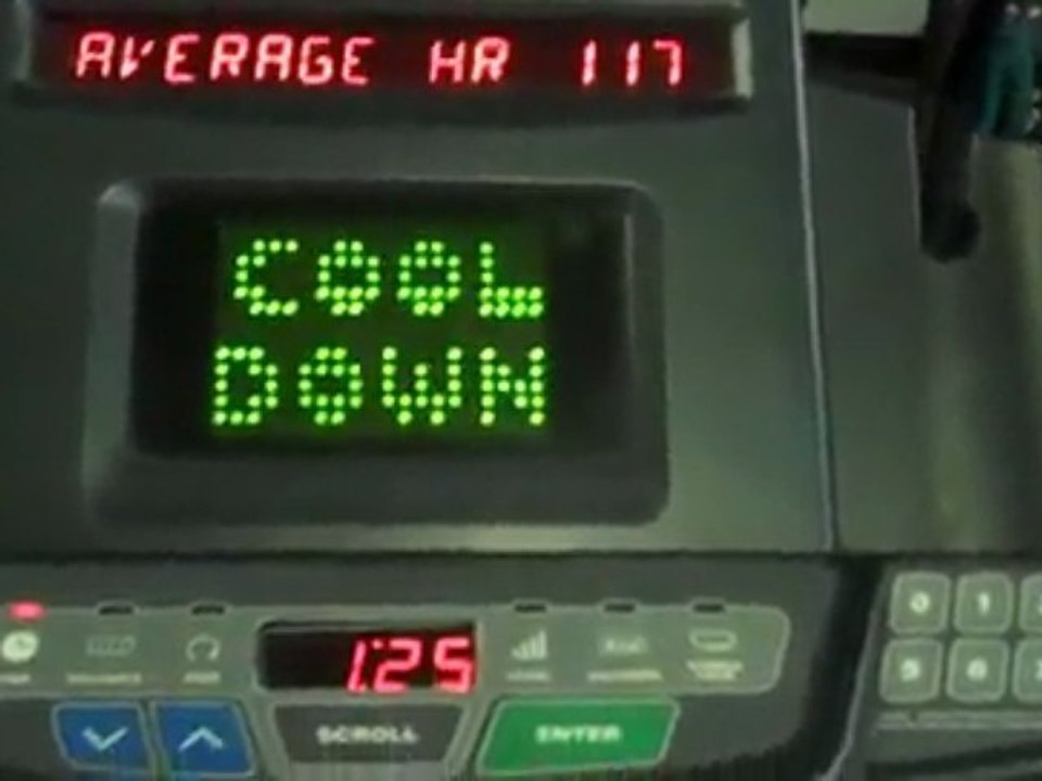 Recumbent Bike, Neck/Back Pain, Sciatica, Cats & Dogs