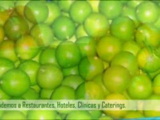 Fratello Fast: Tu proveedor integral de alimentos 🥗