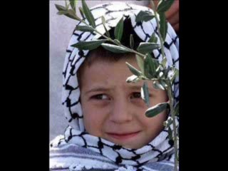 mahmoud petit palestinien israel palestine