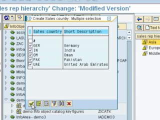 SAP Training Online -How to create hierarchies Pt3