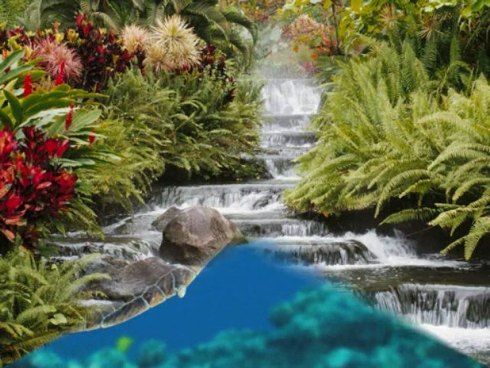 cantique  gloire 2009