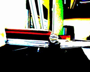 ENTRETIEN COMITE LOCAL DE SOUTIEN  SALAH HAMOURI 1