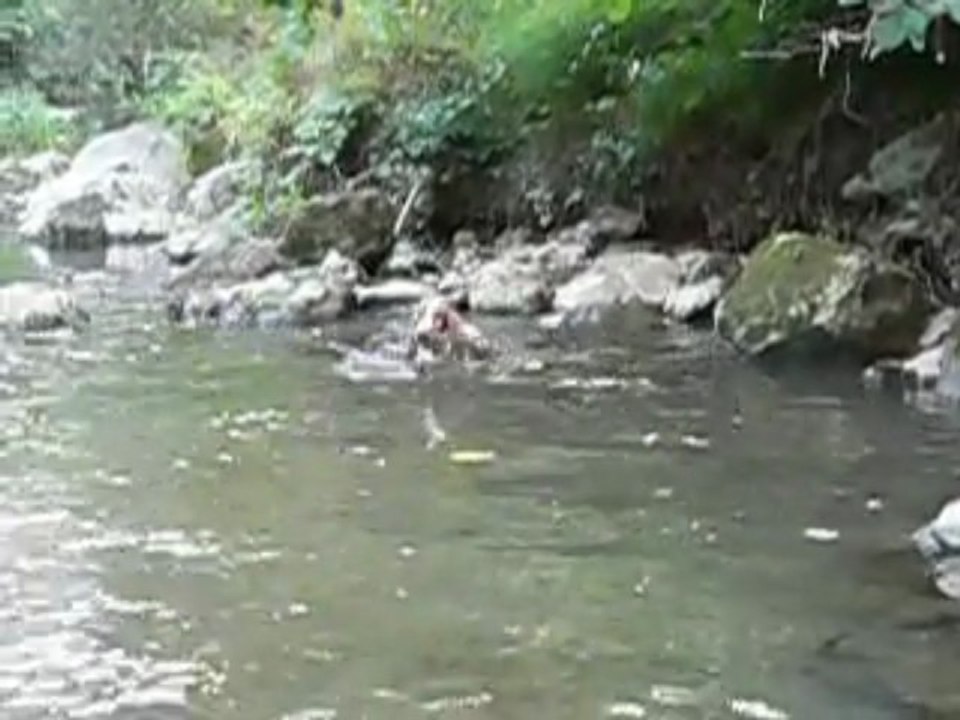 P1060087