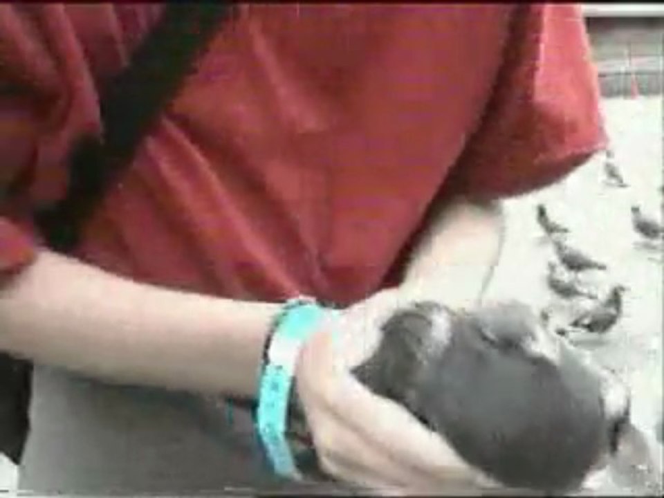 Spelletjesgarnaal @ ECTS 2002 (Part 2)