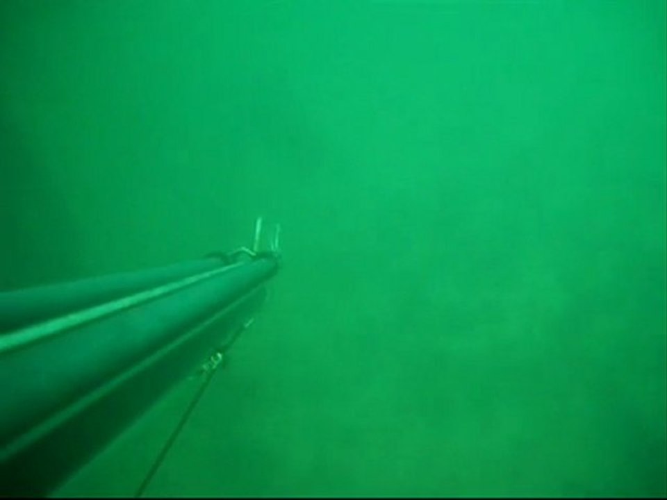 chasse sous marine en normandie