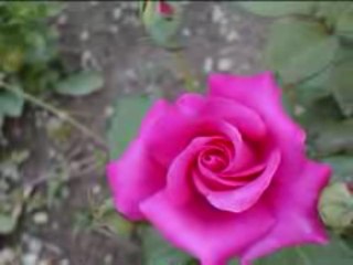 Çocuk Pınarı - Canı Gönülden Seversen müziksiz -İlahi-