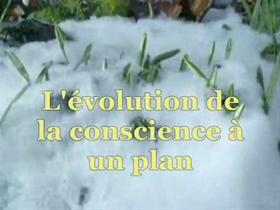 la 9ème étape de l'évolution