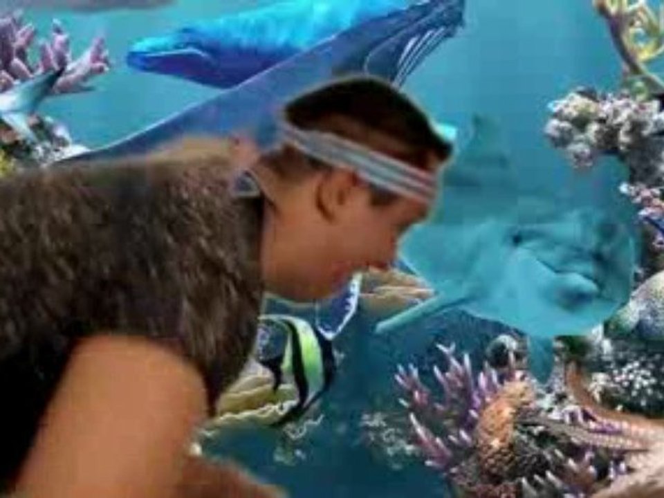 Delfinoterapia con Julian