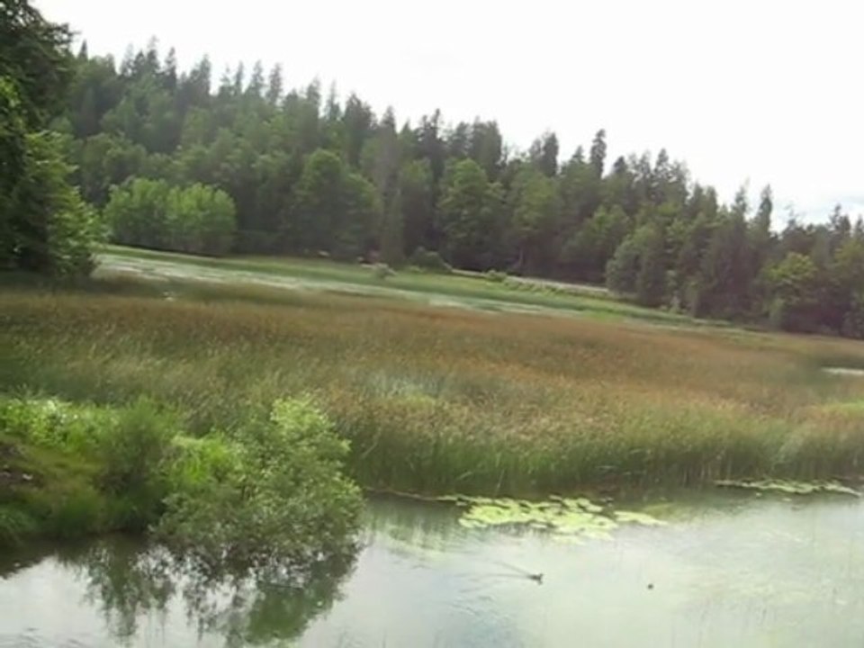 Saint Point