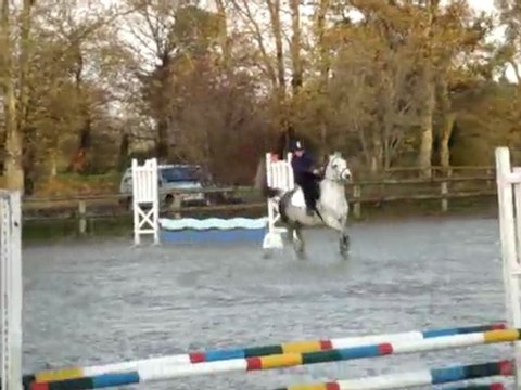 CSO 22 nov 09 marie T cow boy