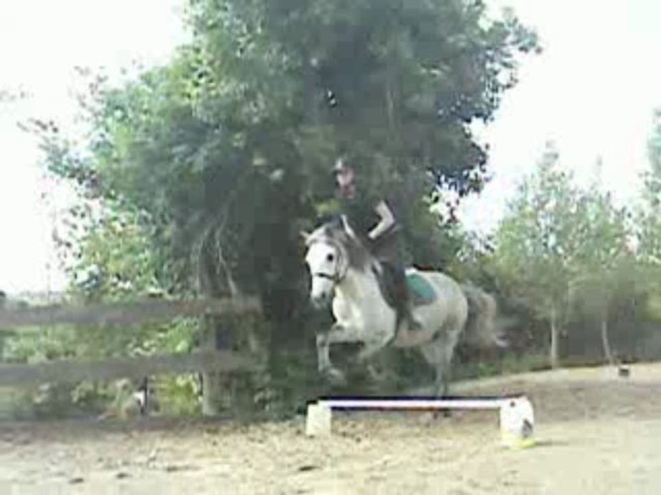 nous au saut!