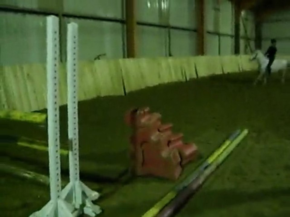 Saut d'abstacle a Cru avec Milka.