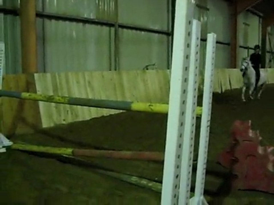 Saut d'obstacle avec Milka (L).