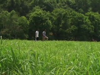 RIVER WITHIN - TRAILER