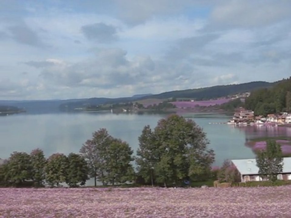 SAINT POINT
