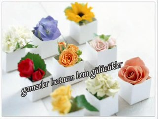şiir-güller neylesin