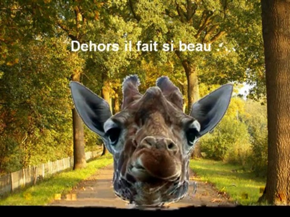 bonjour et bienvenue