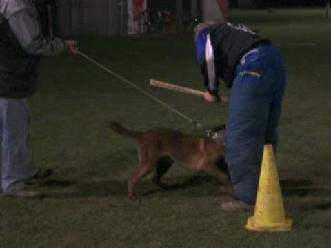 etie des plaines de thiérache