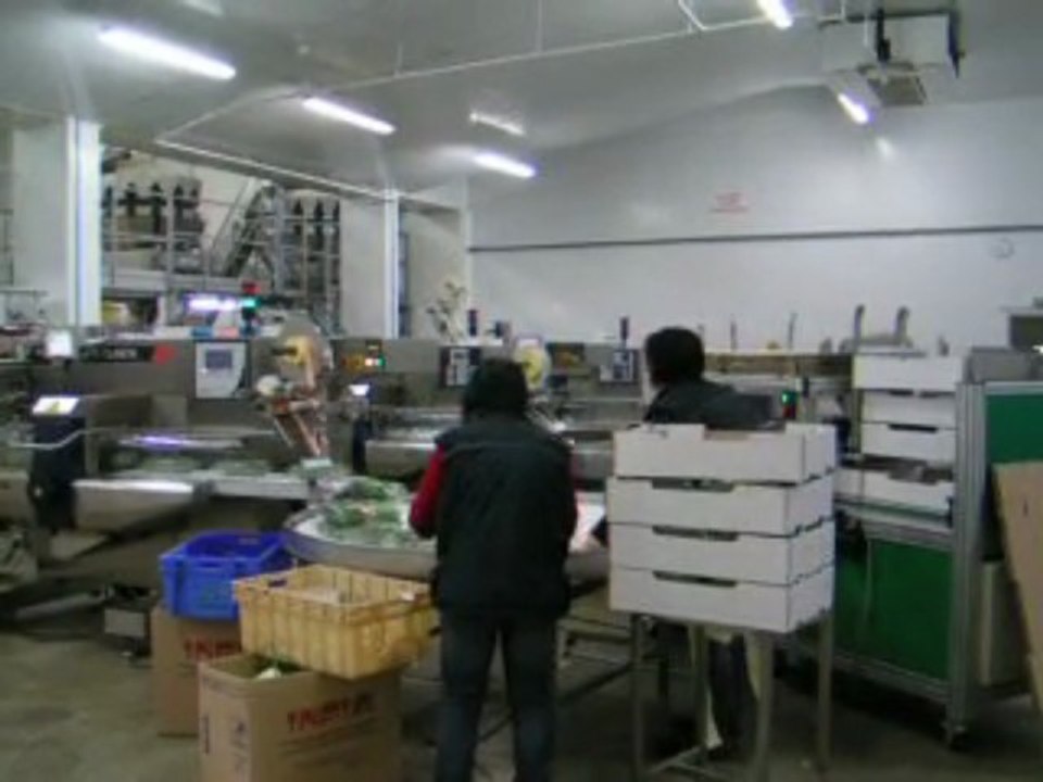 Table Tounante de palettisation ou de conditionnement