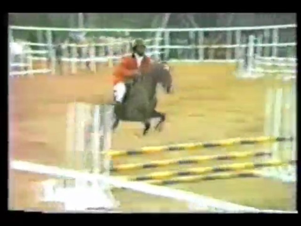 Club Hippique de Yaoundé Cameroun Années 80