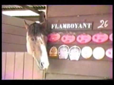 CHY Club Hippique de Yaoundé 1987 REPORTAGE