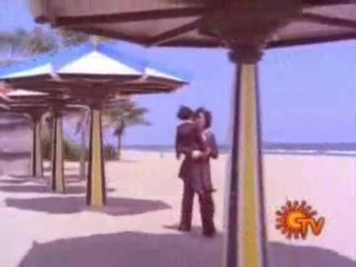 daady dady o my dady